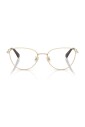 sk1029d-4013-optical-frame