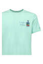 t-shirts-et-polos-en-coton-vert-sauge