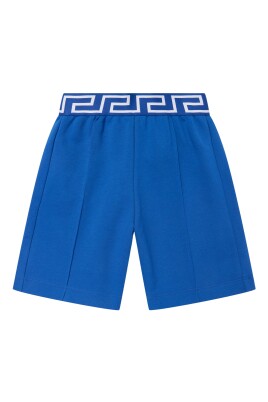 embroidered-logo-blue-shorts