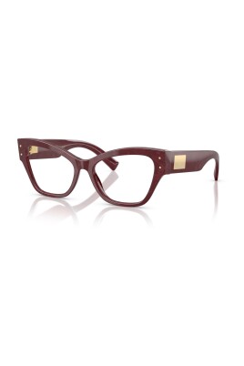 dg3404-3442-optical-frame