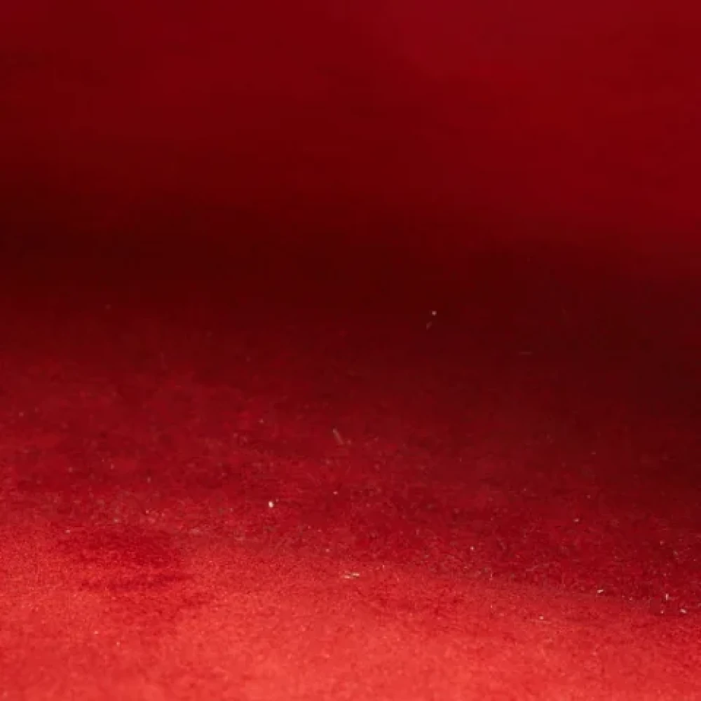Louis Vuitton Vintage Pre-owned Leather louis-vuitton-bags Red Dames