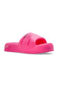 logo-puffer-slides