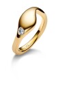 dolphin-ring