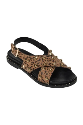 Leopard Sandal Model JANESW S251701