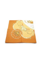 pre-owned-soie-foulards