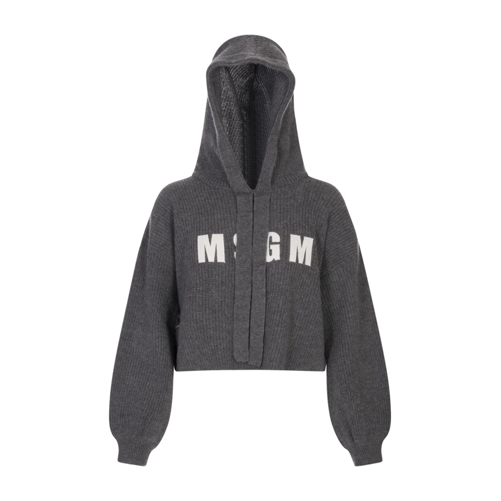 Sweatshirts & Hoodies > Hoodies - - Msgm - Modalova