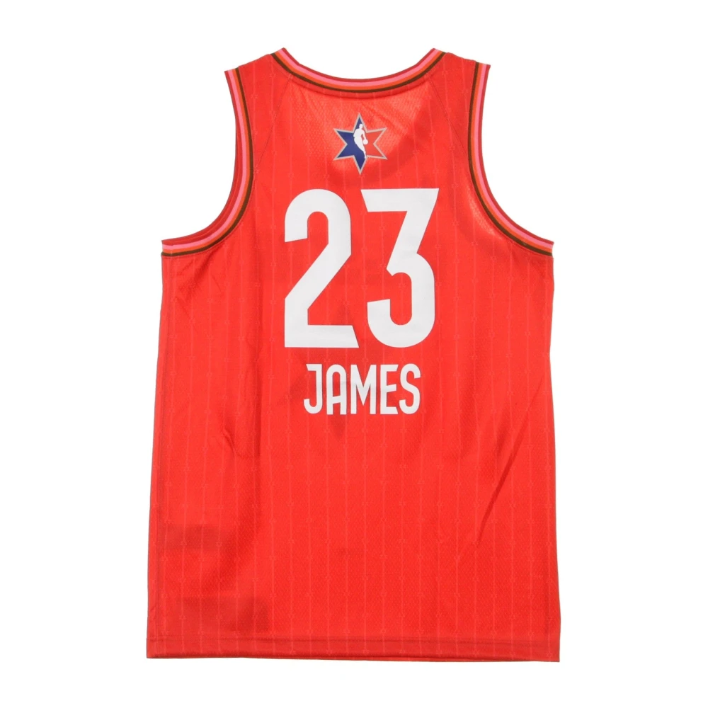 Jordan LeBron James Basketbal Tanktop Red Heren