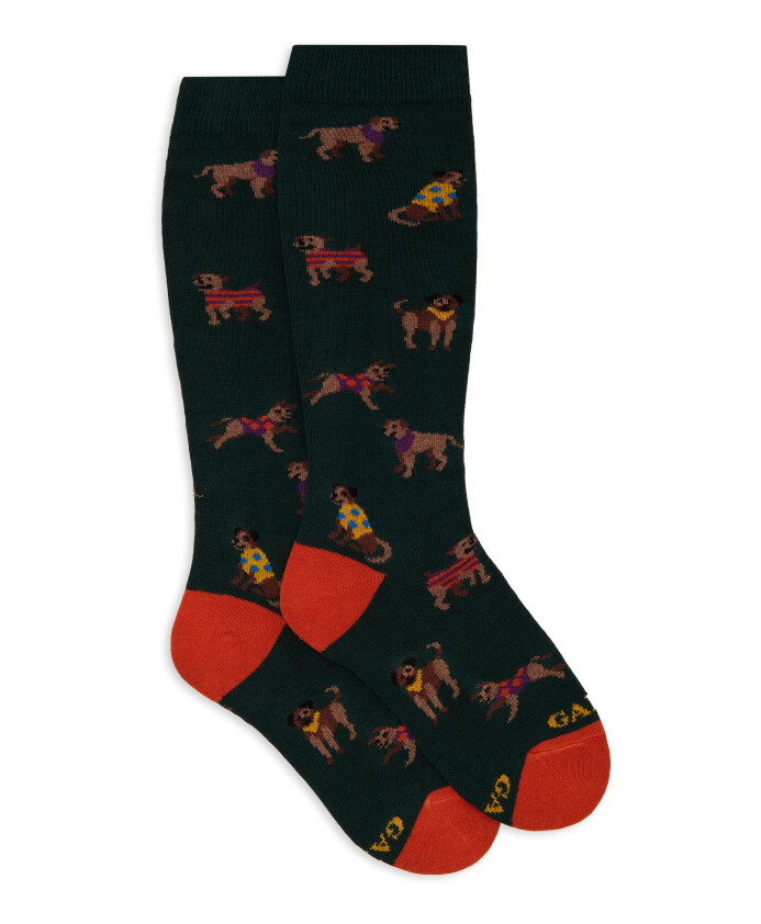 socks-andamp-tights