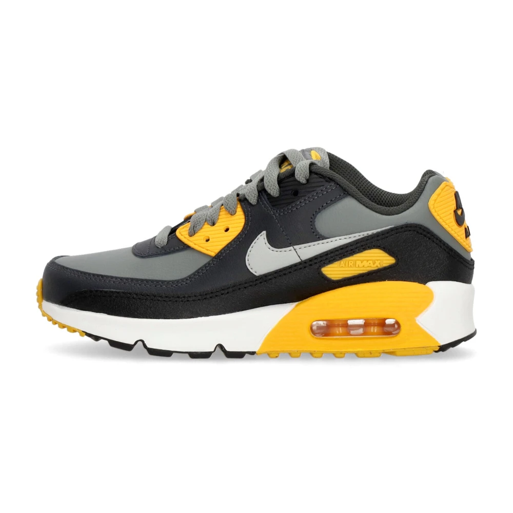 Nike Air Max 90 Låg Rökgrå Multicolor, Unisex