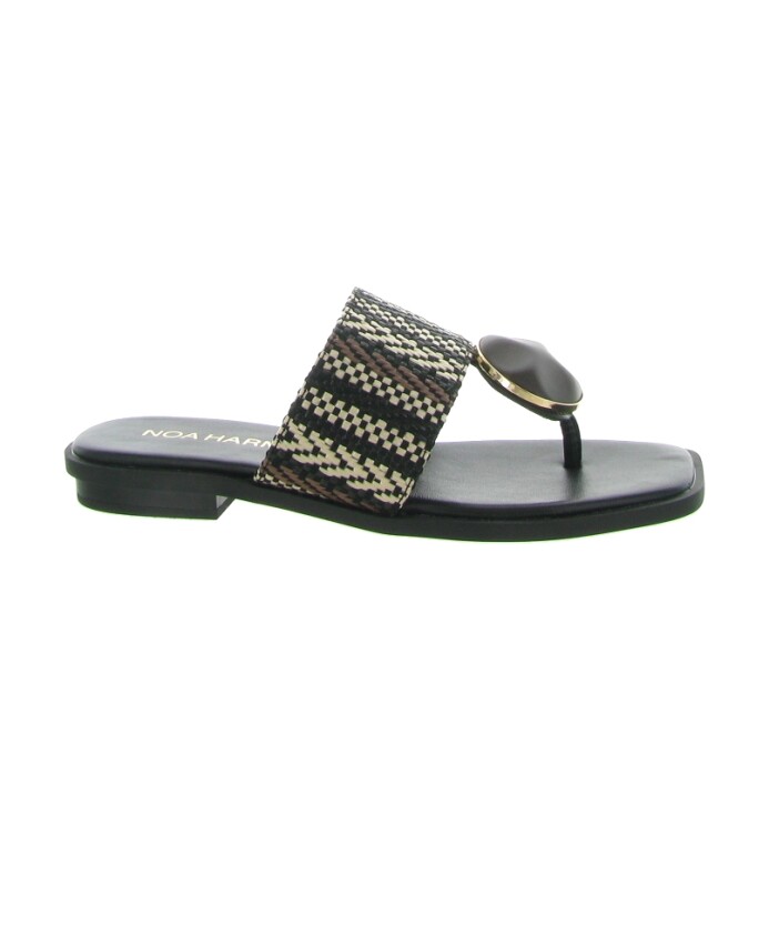 stijlvolle-schoenen-9684