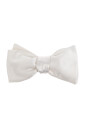 papillon-en-soie