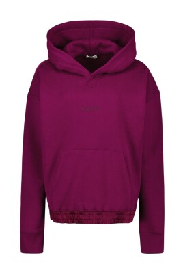 logo-hoodie