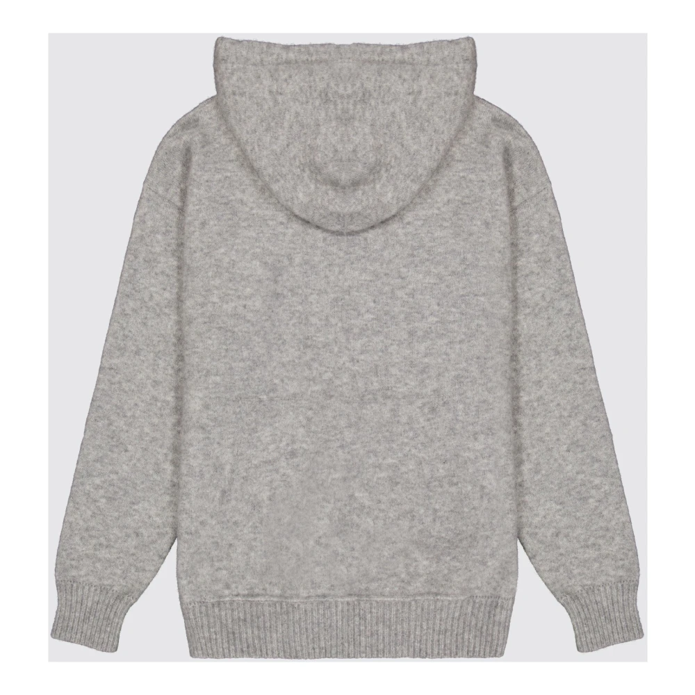 Laneus Kasjmier Zijde Hoodie Boxy Fit Gray Dames