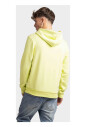 logo-hoodie