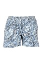 boxer-mare
