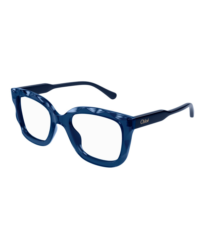 ch0229o-004-optical-frame