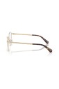 sk1029d-4013-optical-frame