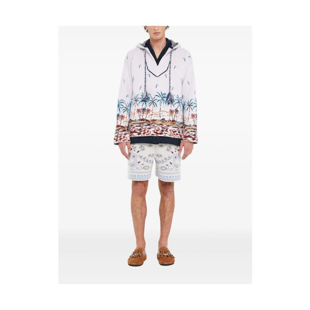 Alanui Off-White Klassieke Hoodie Multicolor Heren