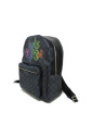 pre-owned-toile-sacs-dos