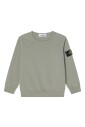 crewneck-sweatshirt