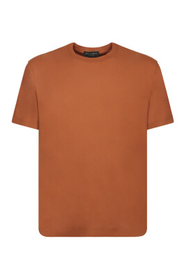brown-t-shirt-with-modern-silhouette