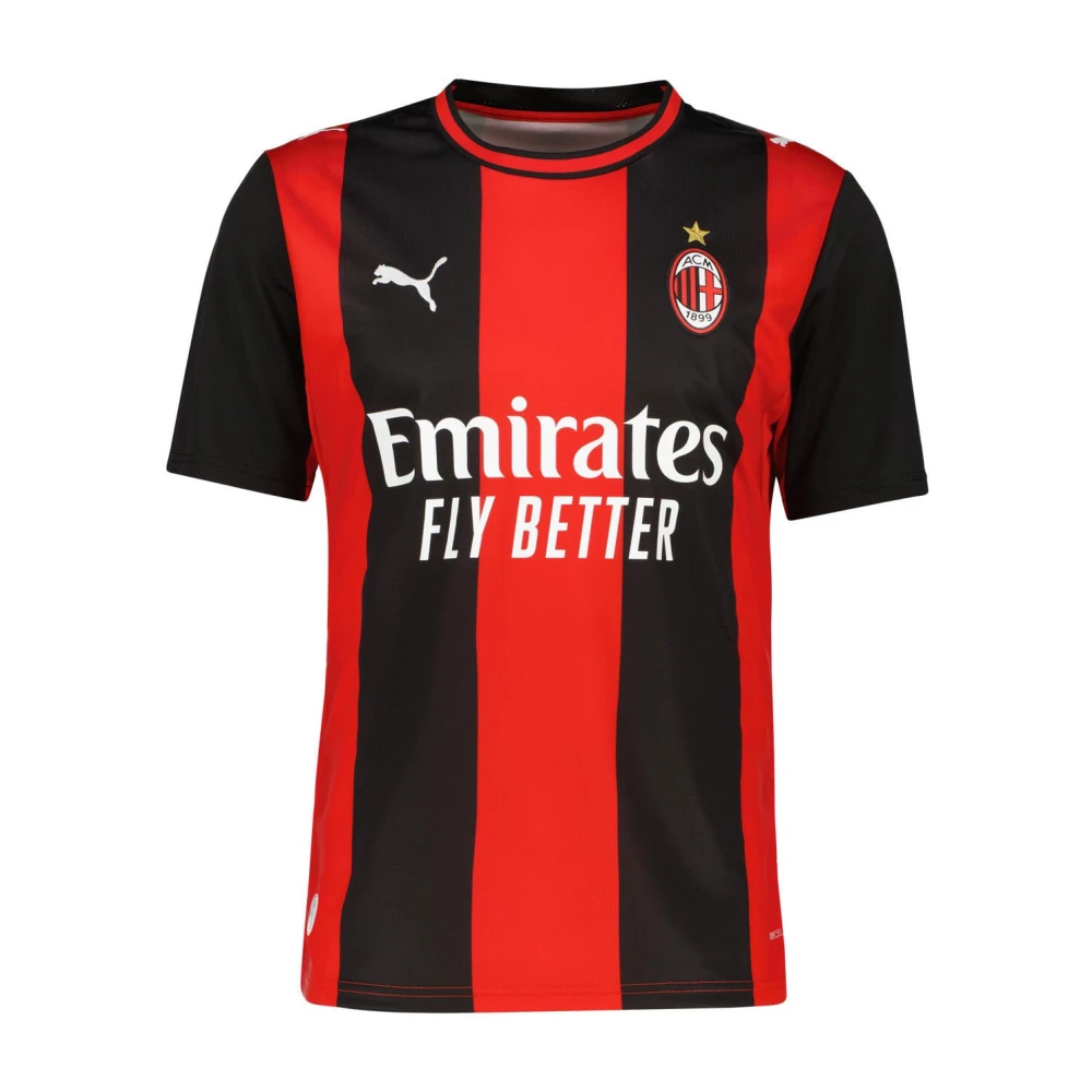 Puma Multicolor Training, Male, L, Acm Home Jersey Replica