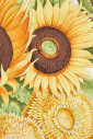stijlvolle-sjaals-and-shawls-collectie