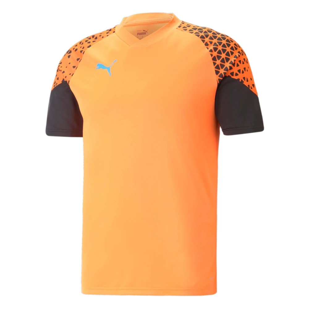 Puma Individuele CUP Trainings T-shirt Orange Heren