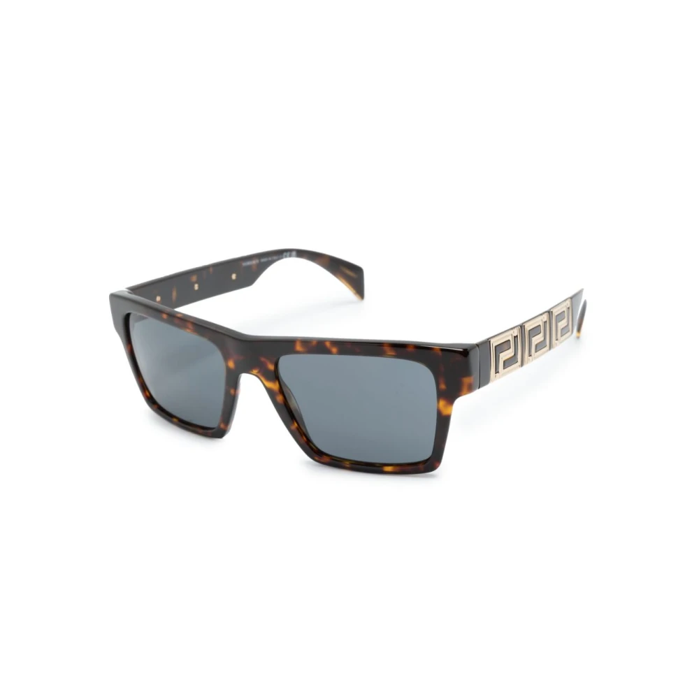 Versace Ve4445 10887 Sunglasses Brun Herr