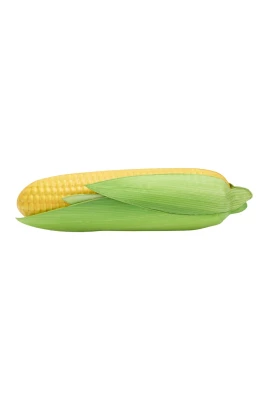 Corn Bag Maxi Clutch