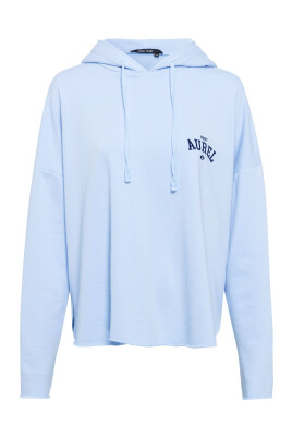 sweat-a-capuche-sportif-bleu-clair