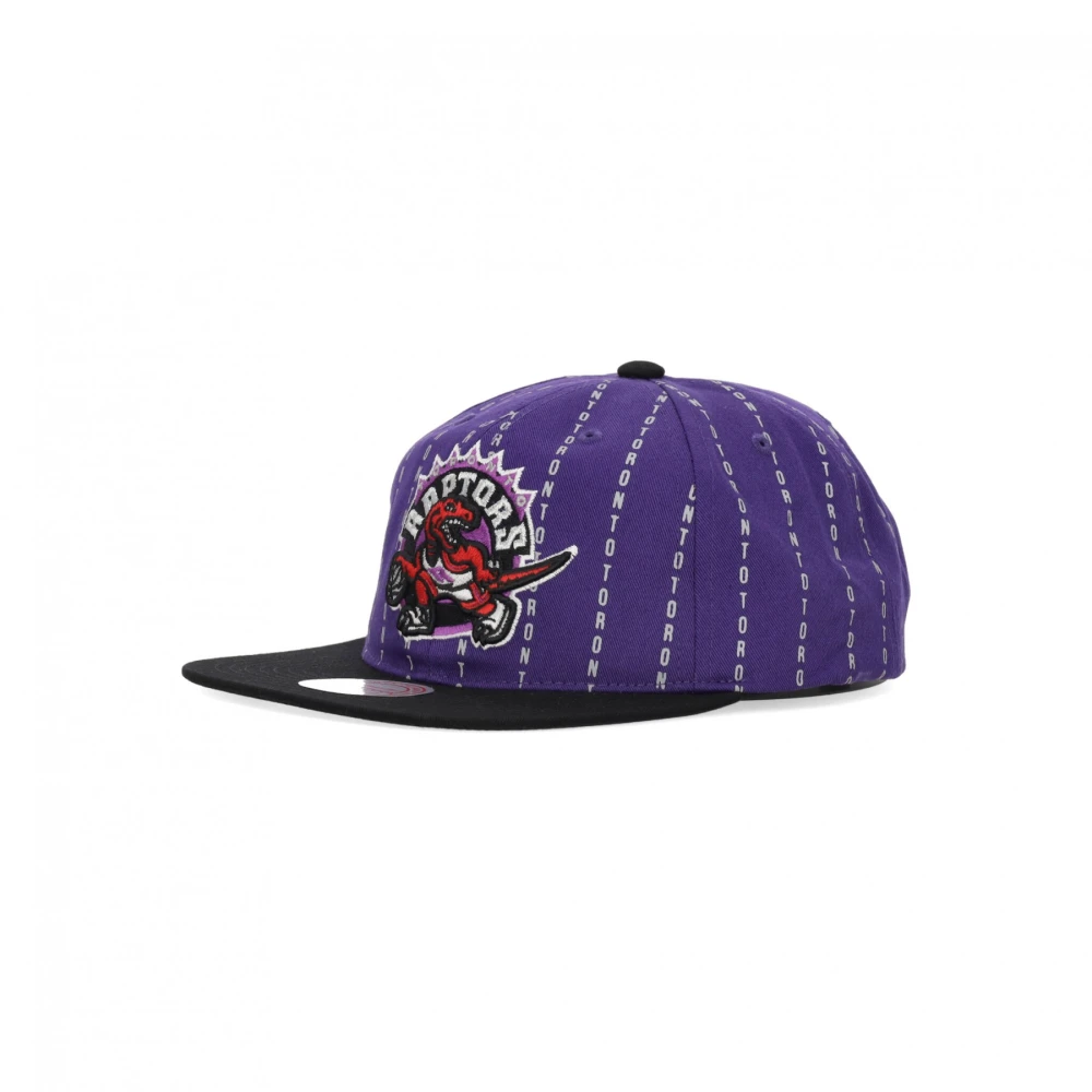 Mitchell & Ness NBA City Pinstripe Deadstock Pet Purple Heren