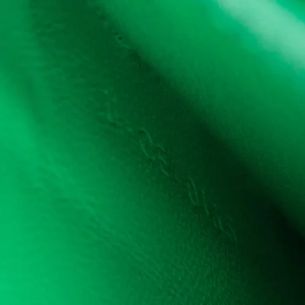 Celine Vintage Pre-owned Leather celine-bags Green Dames
