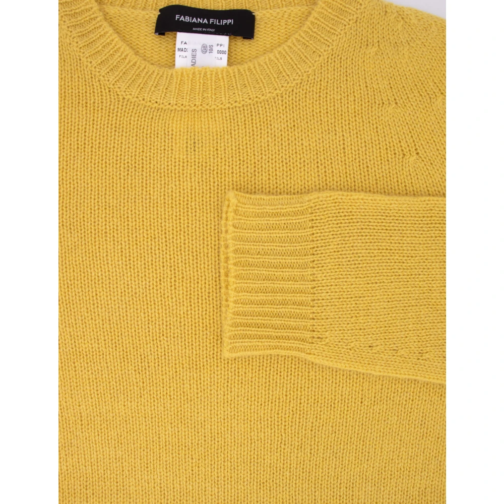 Fabiana Filippi Klassieke Crew-Neck Jumper Orange Dames