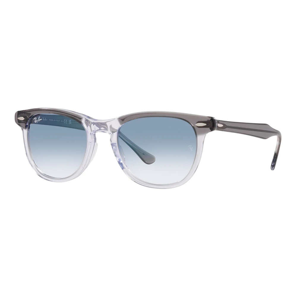 Accessories > Sunglasses - - Ray-Ban - Modalova