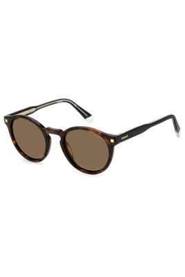havana-bronze-sunglasses