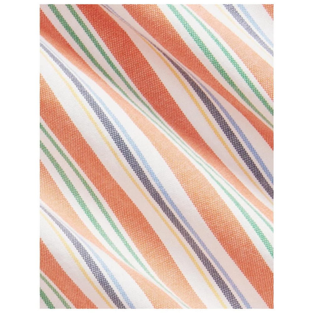 Polo Ralph Lauren Gestreept Oxford Katoenen Overhemd Multicolor Heren