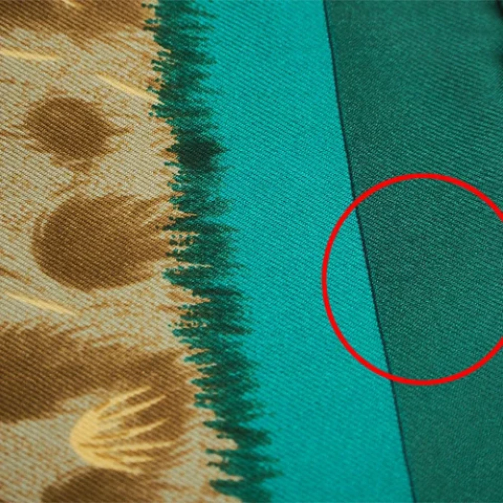 Hermès Vintage Pre-owned Silk scarves Green Dames