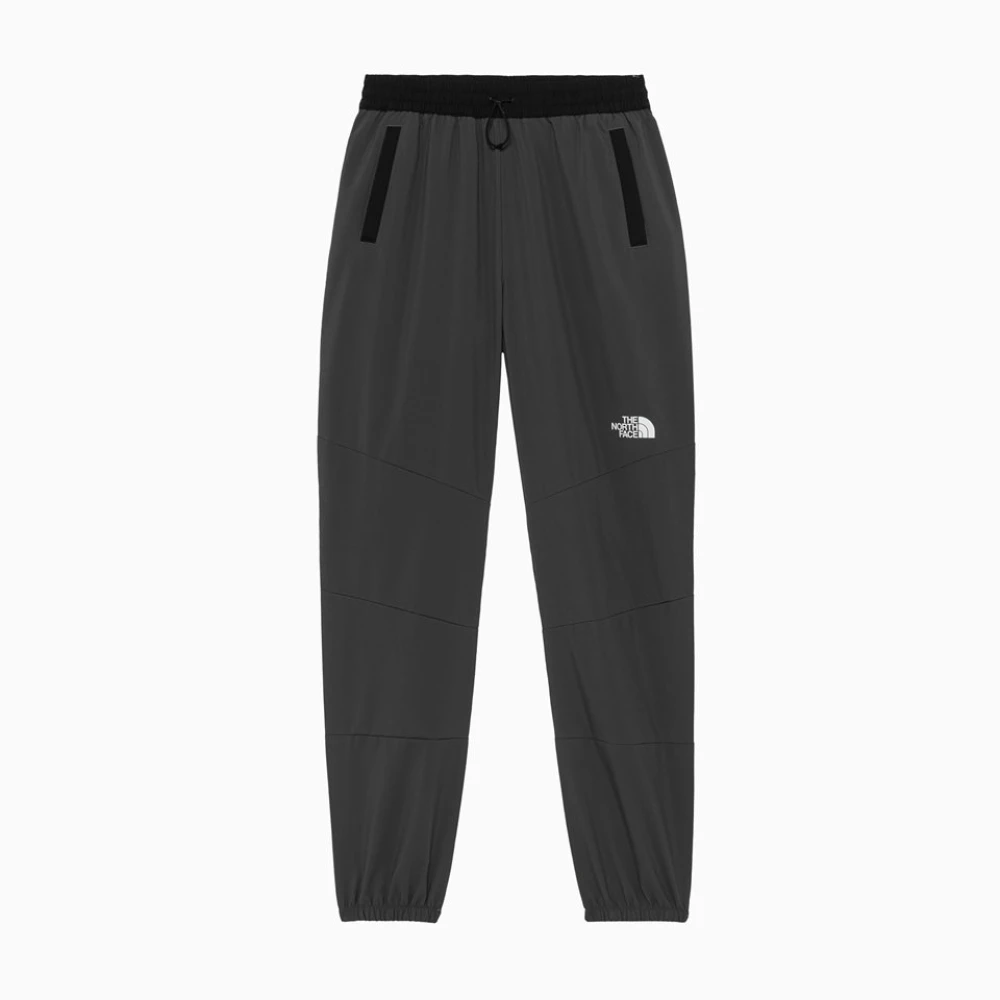 The North Face Trousers Gray Heren