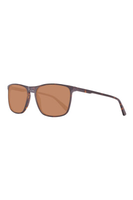 brown-plastic-sunglasses