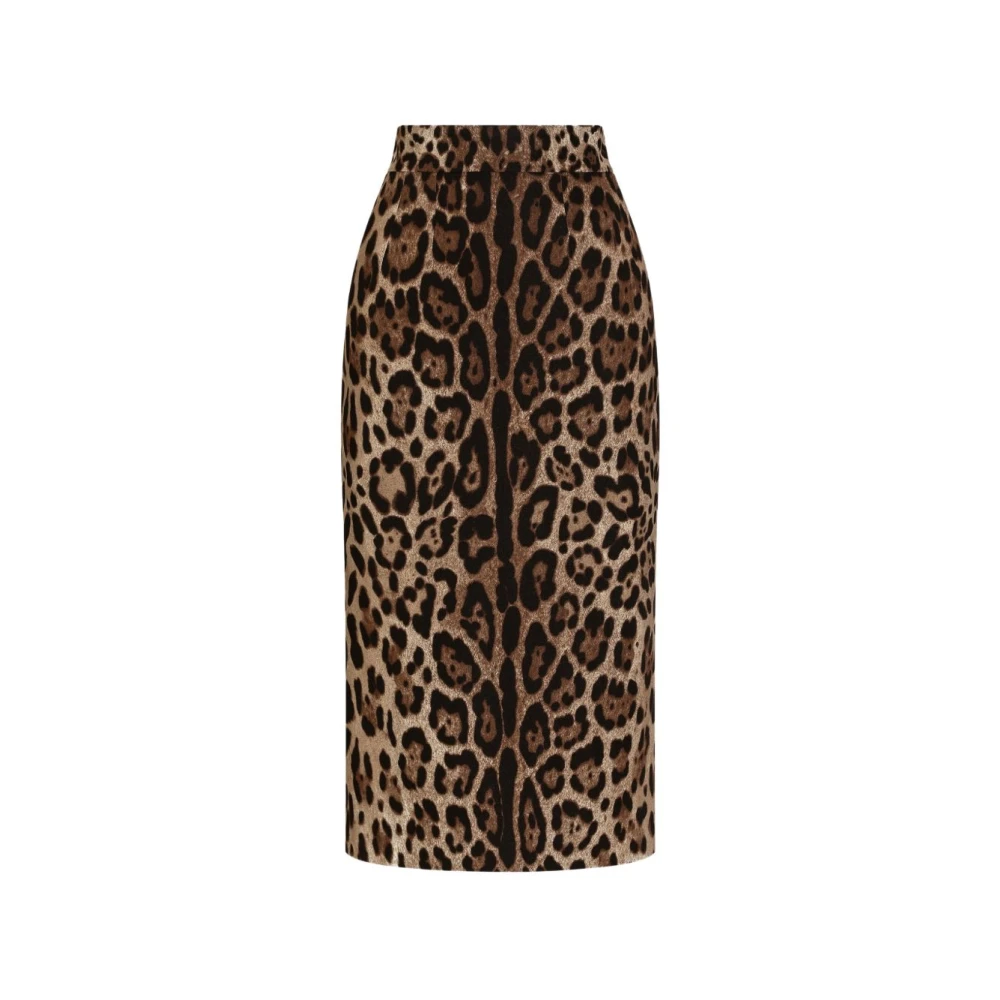 Dolce & Gabbana Vrouw Bruin Rokken Dames, 2XL, Midi Rok