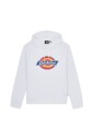 icon-logo-hoodie