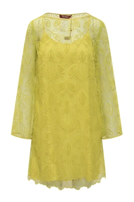 Braccio Broderad Organza Miniklänning