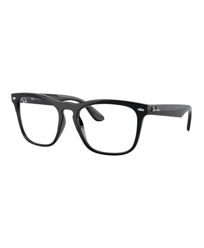 lunettes-steve