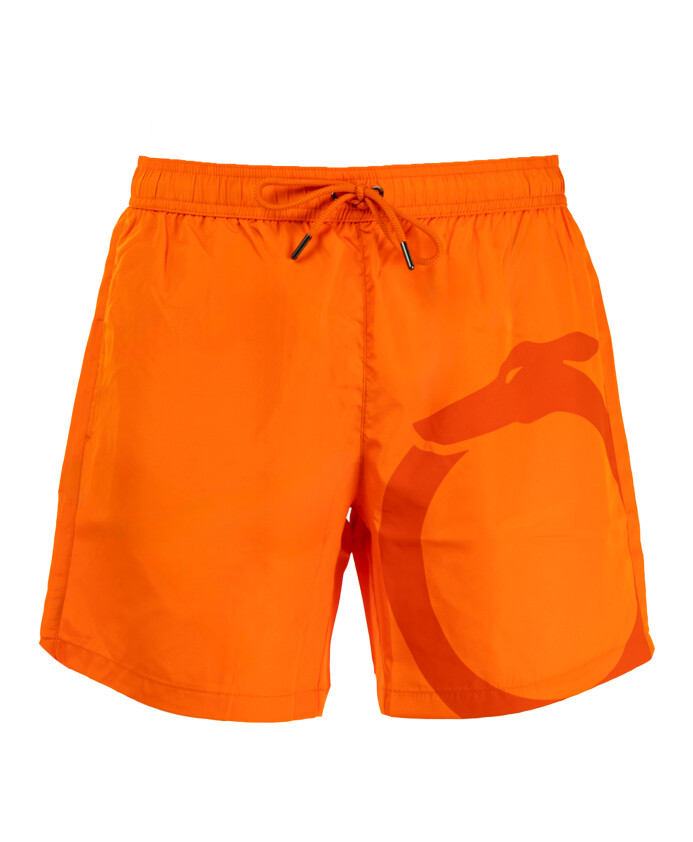 shorts-de-plage-modernes