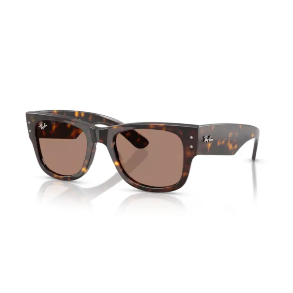 Ray-Ban Unisex Brown Sunglasses, 51 Mm, Classic Sunglasses
