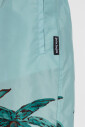 short-de-bain-a-imprime-graphique