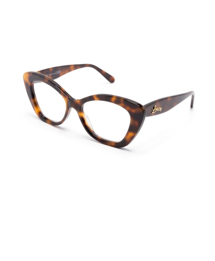lw50067i-052-optical-frame