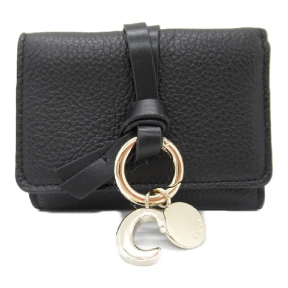 Pre-owned > Pre-owned Accessories > Pre-owned Wallets - - Chloé Pre-owned - Modalova
