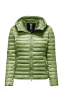bright-nylon-hooded-jacket-with-synthetic-padding
